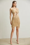 Sleek Fringe Crochet Dress