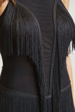 Fringe Reverie Dress